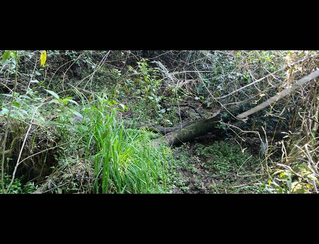 46HA FARM SOLD IN NELSPRUIT RURAL